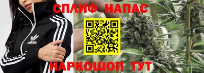 шишки Жуковский