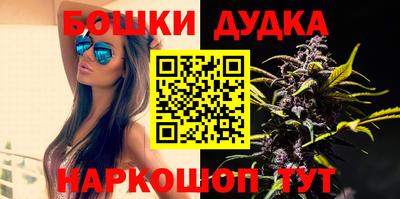 МДПВ Заводоуковск