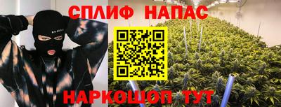 шишки Жуковский