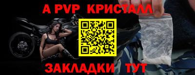 шишки Жуковский