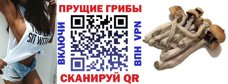 Галлюциногенные грибы мицелий  Набережные Челны 