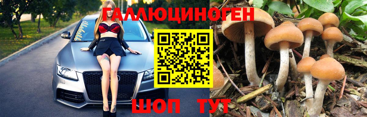 Псилоцибиновые грибы мухоморы  Вход с VPN  Псилоцибиновые грибы мухоморы  Набережные Челны 