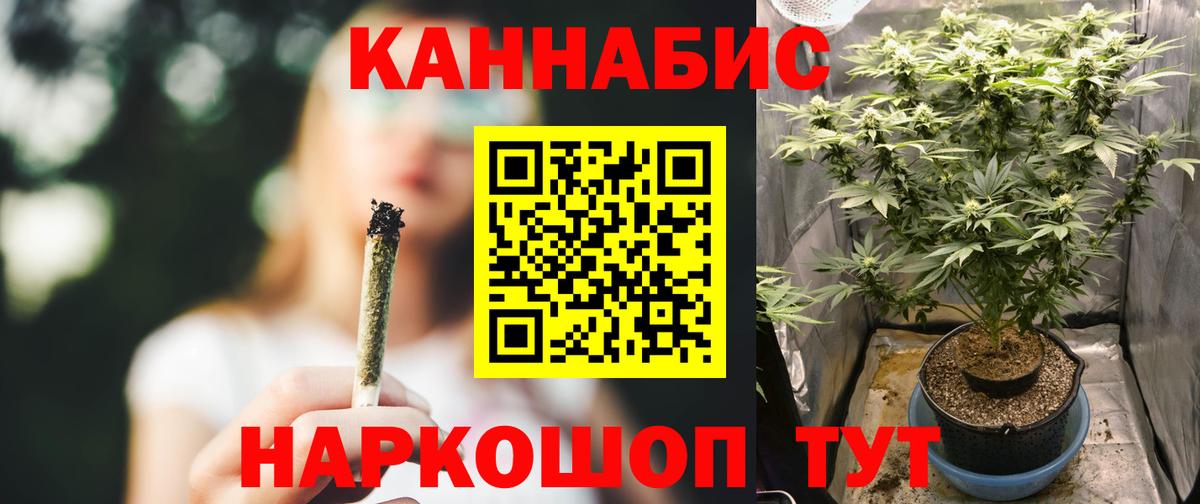 Бошки Шишки MAZAR Набережные Челны